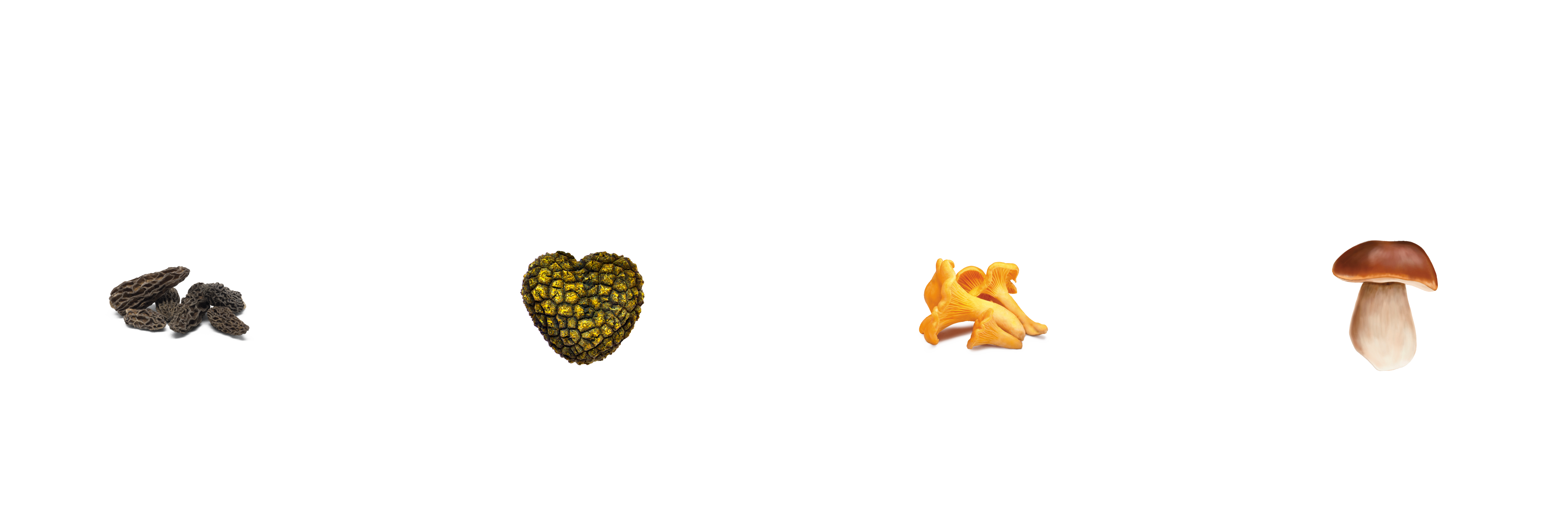Logo Morilles Séchées